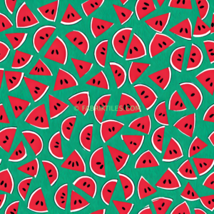 Watermelon Slices